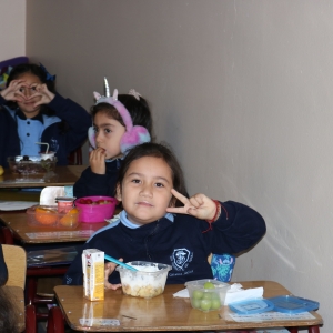 Día de la Actividad Física